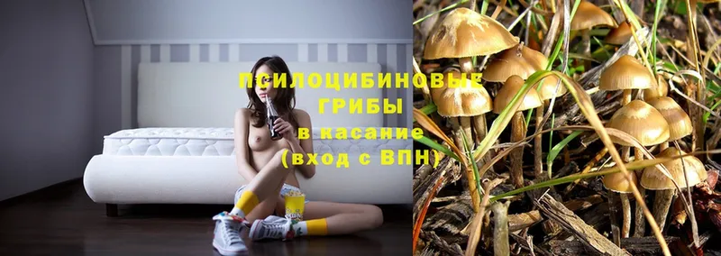 как найти   Реутов  Псилоцибиновые грибы MAGIC MUSHROOMS 