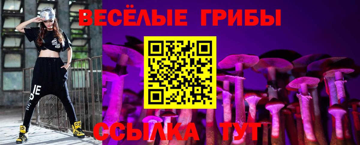 Реутов  Псилоцибиновые грибы Cubensis  Вход с VPN 