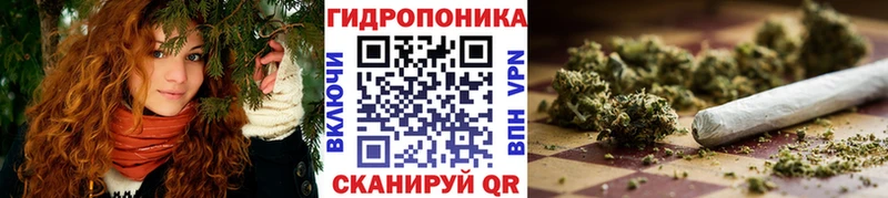 Бошки Шишки план  дарнет шоп  Реутов 